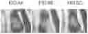 Fig. 05 - Adjuvant composition, and vaccine composition and drug kit each containing the same