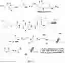 Fig. 03 - Enzymatically activatable peptide-redox modulator conjugates and use thereof