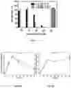 Fig. 06 - Enzymatically activatable peptide-redox modulator conjugates and use thereof