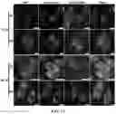 Fig. 09 - Enzymatically activatable peptide-redox modulator conjugates and use thereof