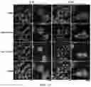 Fig. 10 - Enzymatically activatable peptide-redox modulator conjugates and use thereof