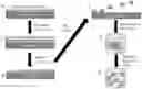 Fig. 01 - Compositions of polymeric nanowires and methods of making and using thereof