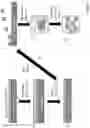 Fig. 02 - Compositions of polymeric nanowires and methods of making and using thereof