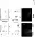 Fig. 08 - Compositions of polymeric nanowires and methods of making and using thereof