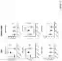 Fig. 13 - Compositions of polymeric nanowires and methods of making and using thereof