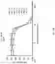 Fig. 06 - Macromolecular chemotherapeutics