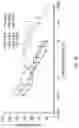Fig. 07 - Macromolecular chemotherapeutics