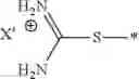 Fig. 12 - Macromolecular chemotherapeutics