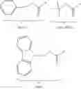Fig. 27 - Macromolecular chemotherapeutics