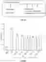 Fig. 07 - Treatment of neuropathy with DNA constructs expressing IGF-1 isoforms