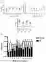 Fig. 02 - ANIMAL MODEL SYSTEM AND USES THEREOF