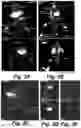 Fig. 07 - SELF-ASSEMBLING CYCLOPEPTIDE-DYE COMPOUNDS, FORMULATIONS THEREOF, AND USES THEREOF