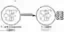 Fig. 01 - Formation and uses of europium