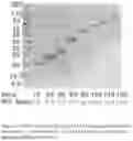 Fig. 02 - METHODS AND COMPOSITIONS FOR DELIVERING ACTIVE AGENTS WITH ENHANCED PHARMACOLOGICAL PROPERTIES