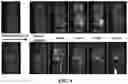 Fig. 06 - TINY NANOPARTICLES FOR MAGNETIC RESONANCE IMAGING APPLICATIONS