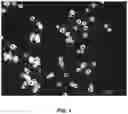 Fig. 02 - Compositions and associated methods for radioisotope-binding microparticles