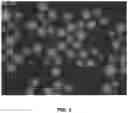 Fig. 06 - Compositions and associated methods for radioisotope-binding microparticles