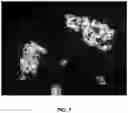 Fig. 08 - Compositions and associated methods for radioisotope-binding microparticles