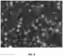Fig. 10 - Compositions and associated methods for radioisotope-binding microparticles