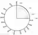 Fig. 01 - Microsphere and preparation method thereof