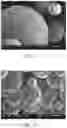 Fig. 07 - Microsphere and preparation method thereof