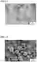 Fig. 02 - Adhesive for hard tissue bonding, adhesive kit for hard tissue bonding, and bone cement