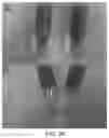 Fig. 29 - Polyphosphate-functionalized inorganic nanoparticles as hemostatic compositions and methods of use
