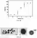 Fig. 47 - Polyphosphate-functionalized inorganic nanoparticles as hemostatic compositions and methods of use