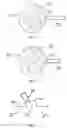 Fig. 09 - DEVICES AND METHODS FOR WOUND TREATMENT