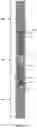 Fig. 12 - Blood pump system for causing persistent increase in the overall diameter of a target vessel