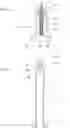 Fig. 04 - Needle-equipped outer cylinder and method for manufacturing the same