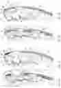 Fig. 09 - Endotracheal tube-inserting device