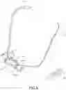 Fig. 07 - Nasal cannula device