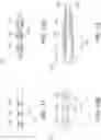 Fig. 11 - Article and method for treating diabetic peripheral neuropathy