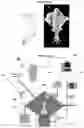 Fig. 03 - SYSTEMS AND METHODS FOR ULTRASOUND MODULATION OF NEURONS