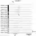 Fig. 08 - SYSTEMS AND METHODS FOR ULTRASOUND MODULATION OF NEURONS