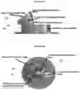 Fig. 16 - SYSTEMS AND METHODS FOR ULTRASOUND MODULATION OF NEURONS