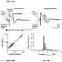Fig. 30 - SYSTEMS AND METHODS FOR ULTRASOUND MODULATION OF NEURONS