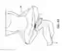 Fig. 11 - Cloth back support apparatus and methods of use