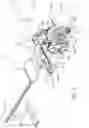 Fig. 03 - Rowing machine