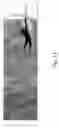 Fig. 12 - SYSTEM AND METHOD FOR OPTIMIZING A SPORTS BALL LAUNCH