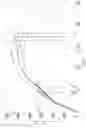 Fig. 03 - Monofilament string for use in string racket sports
