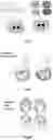 Fig. 07 - Filaments having changeable shape for a toy or accessory