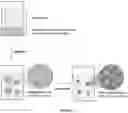 Fig. 03 - Method for controlling encapsulation efficiency and burst release of water soluble molecules from nanoparticles and microparticles produced by inverse flash nanoprecipitation