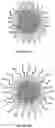 Fig. 05 - Method for controlling encapsulation efficiency and burst release of water soluble molecules from nanoparticles and microparticles produced by inverse flash nanoprecipitation
