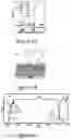 Fig. 07 - Modification of a Solid Surface