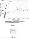 Fig. 09 - ADSORBATES AND METHODS FOR SEPARATION AND RECOVERY OF PHOSPHATE, NITRATES, AND AMMONIA FROM WATER