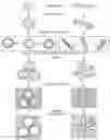 Fig. 01 - High-surface area functional material coated structures