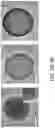 Fig. 04 - High-surface area functional material coated structures