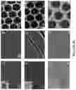 Fig. 05 - High-surface area functional material coated structures